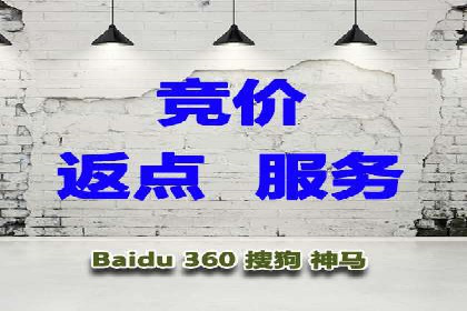 百度竞价代运营公司成功案例分析